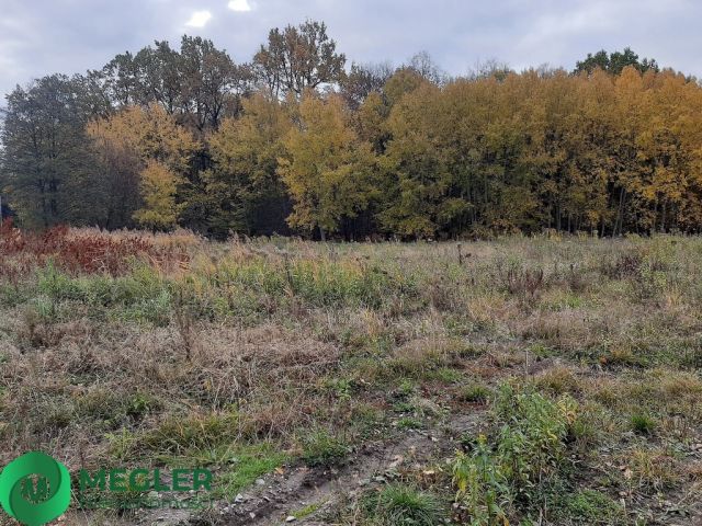 Działka budowlana Rusiec. Zdjęcie 1
