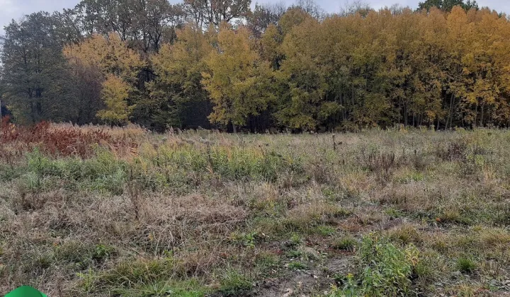 Działka budowlana Rusiec