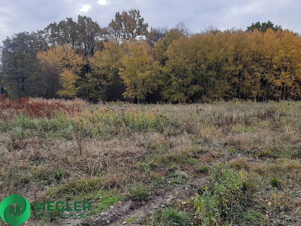 Działka budowlana Rusiec