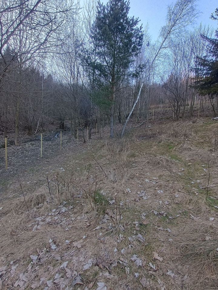 Działka leśna Rzyki Czarny Groń, os. Potrójna. Zdjęcie 8