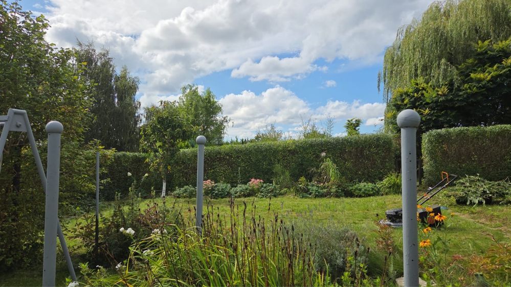 Działka rod Gościno, ul. Ogrodowa. Zdjęcie 2