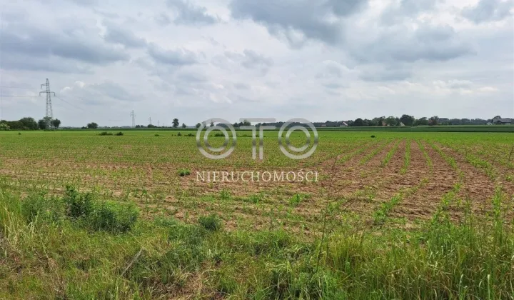 Działka budowlana Oleśnica