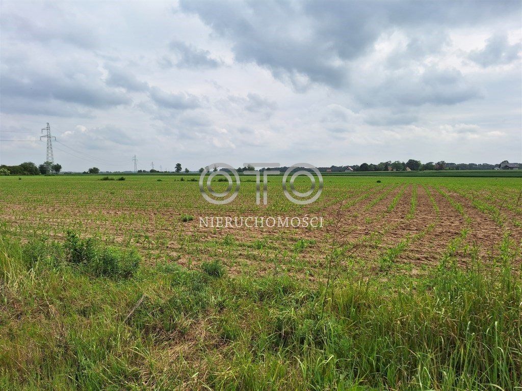 Działka budowlana Oleśnica. Zdjęcie 1