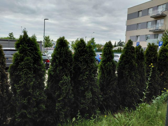 Mieszkanie 2-pokojowe Poznań Podolany, ul. Druskienicka. Zdjęcie 1