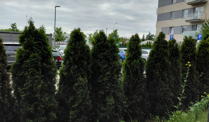 Mieszkanie 2-pokojowe Poznań Podolany, ul. Druskienicka