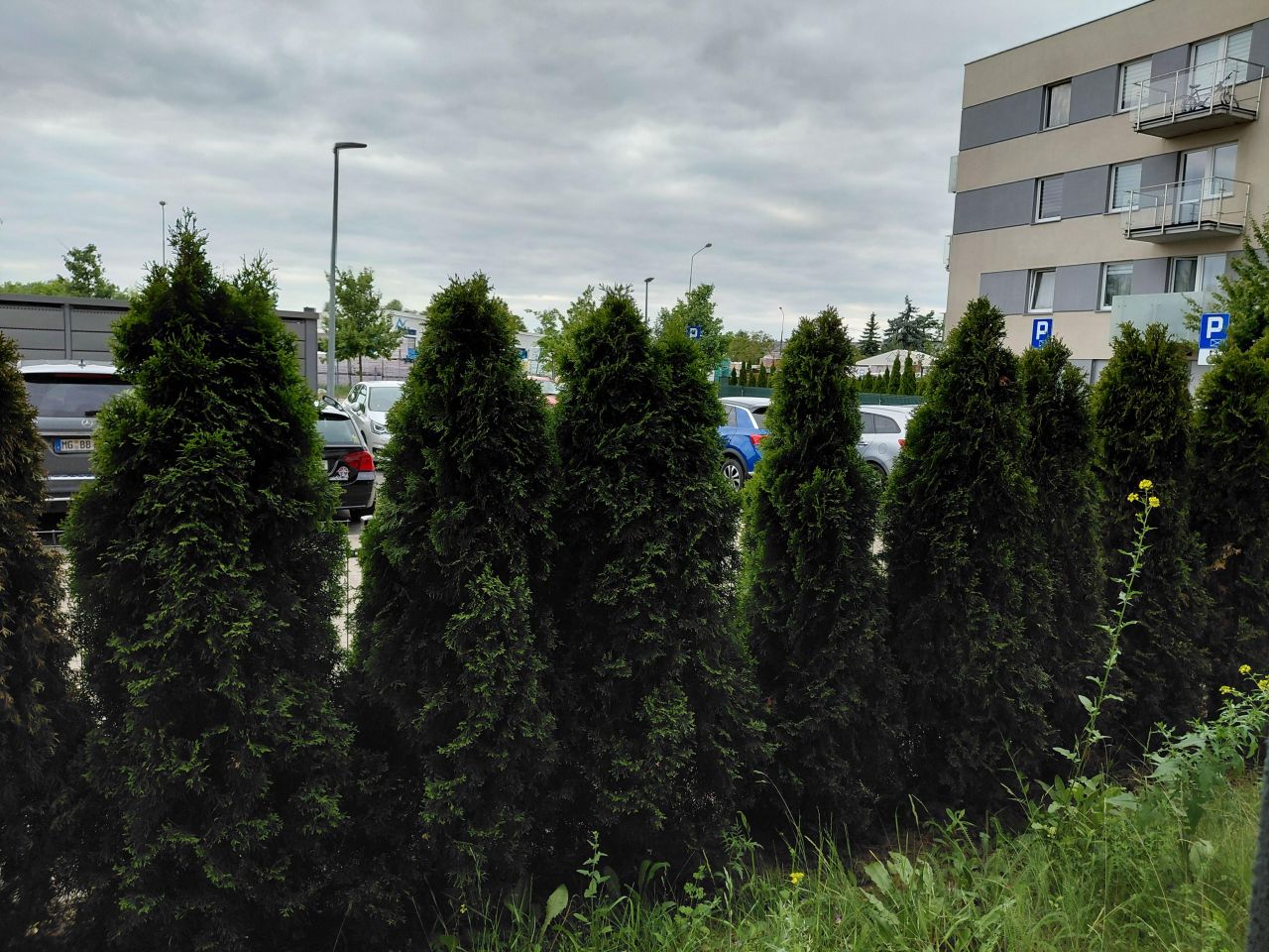 Poznań Podolanyul. Druskienicka 2Mieszkanie do wynajęciabez pośredników