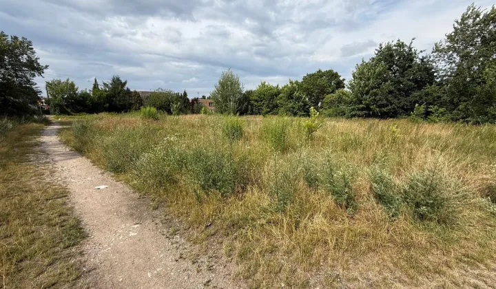 Działka budowlana Szamotuły, ul. Ogrodowa