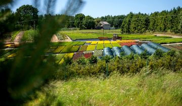 Działka rolno-budowlana Garcz, ul. Widokowa