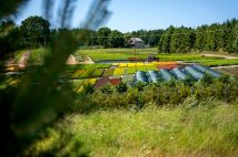 Działka rolno-budowlana Garcz, ul. Widokowa. Zdjęcie 1