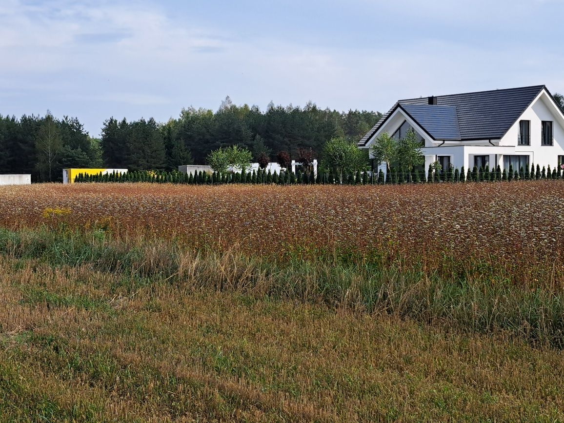 Działka budowlana Olmonty. Zdjęcie 4