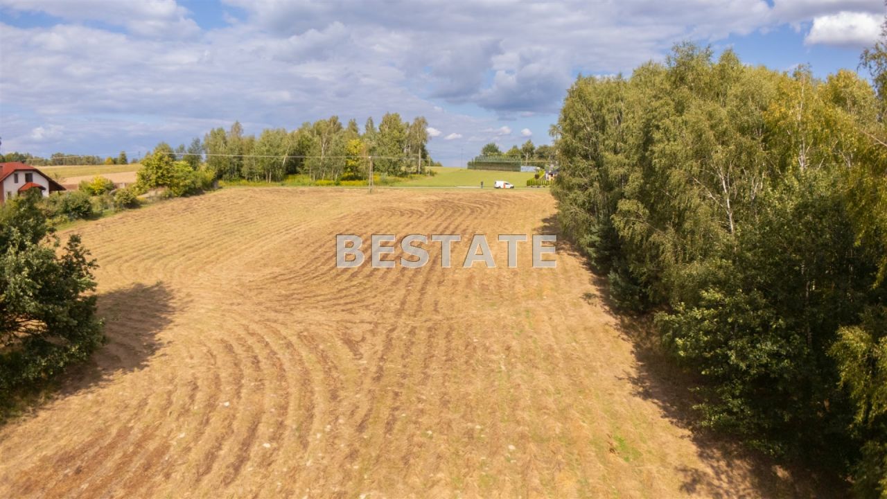 Działka rolna Lewniowa. Zdjęcie 5