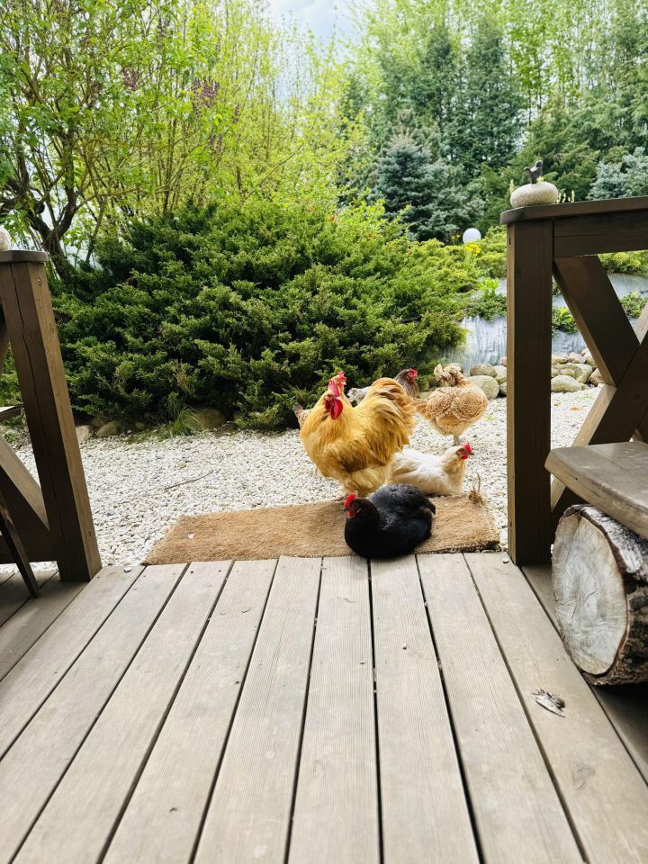 dom wolnostojący, 4 pokoje Kijany, Nad Rzeką Wieprz. Zdjęcie 48