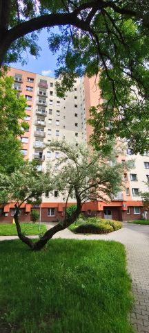 Mieszkanie 1-pokojowe Katowice Dolina Trzech Stawów, ul. Graniczna. Zdjęcie 13