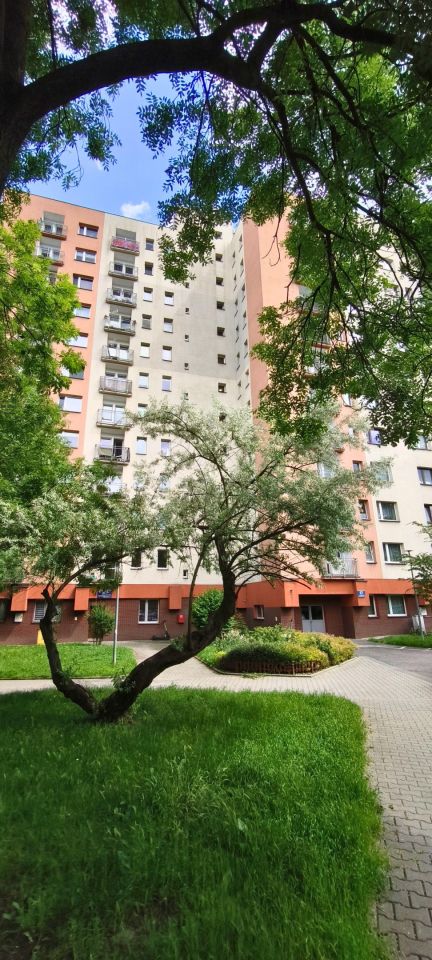 Mieszkanie 1-pokojowe Katowice Dolina Trzech Stawów, ul. Graniczna. Zdjęcie 13