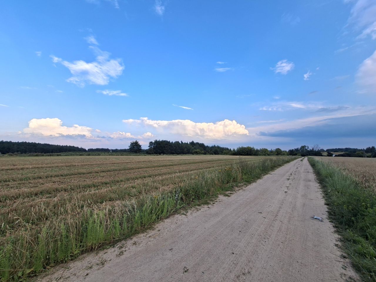 Działka budowlana Czerwone, Czerwone kolonia. Zdjęcie 7