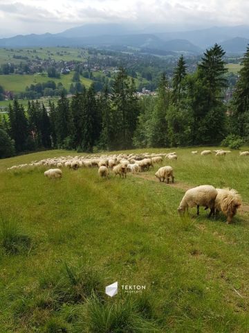 Działka rolna Zakopane, ul. Łosiówki. Zdjęcie 2