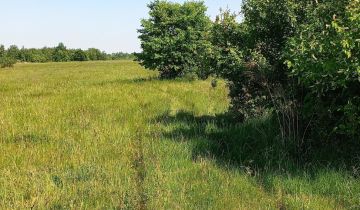 Działka rolno-budowlana Wincentów, Wincentów