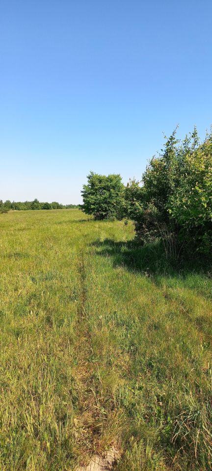 Działka rolno-budowlana Wincentów. Zdjęcie 5