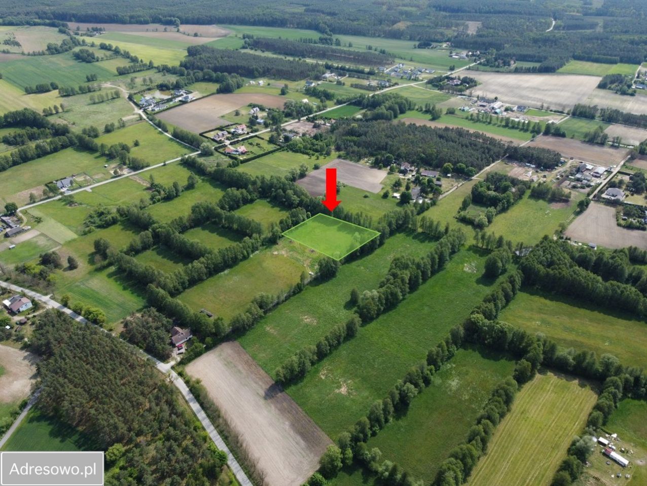 Działka inwestycyjna Zarośle Cienkie. Zdjęcie 3
