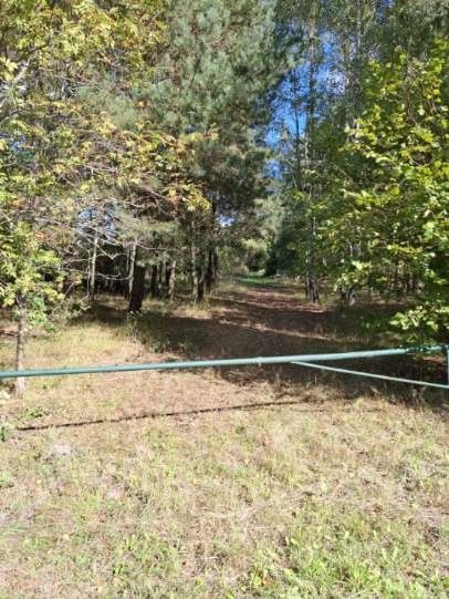 Działka rolna Sokóle. Zdjęcie 3