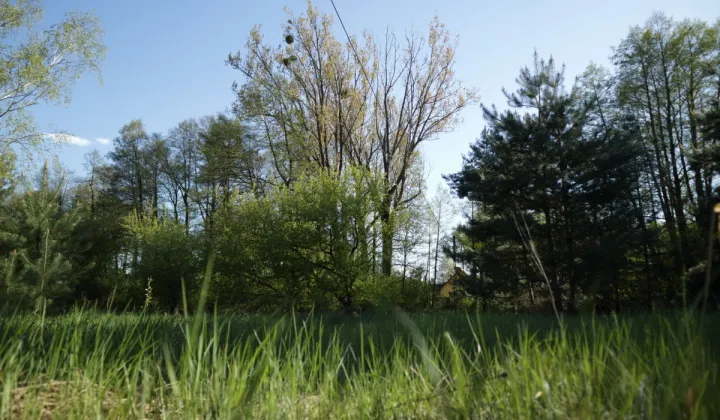 Działka budowlana Nekielka, ul. Kwiatowa