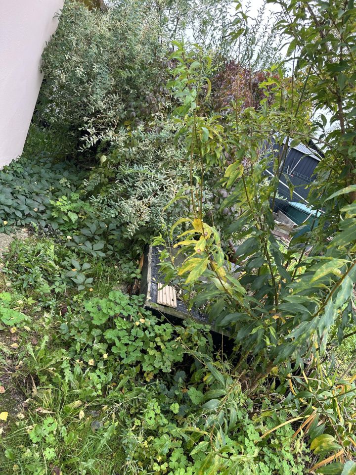 Działka rekreacyjna Rybnik Maroko-Nowiny, ul. Brzozowa. Zdjęcie 12