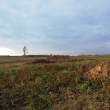 Działka budowlana Bytom Odrzański, ul. Kopernika. Zdjęcie 4