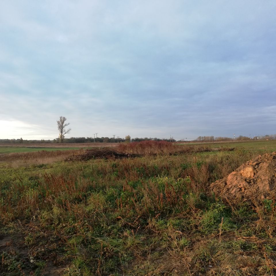 Działka budowlana Bytom Odrzański, ul. Kopernika. Zdjęcie 5
