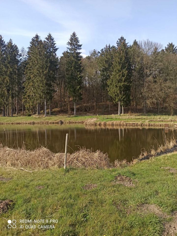 Działka rolna Recz. Zdjęcie 3