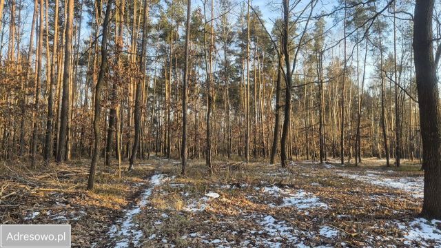 Działka inwestycyjna Adamowice. Zdjęcie 1