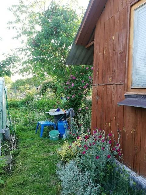 Działka rod Lublin, ul. Wapienna. Zdjęcie 3