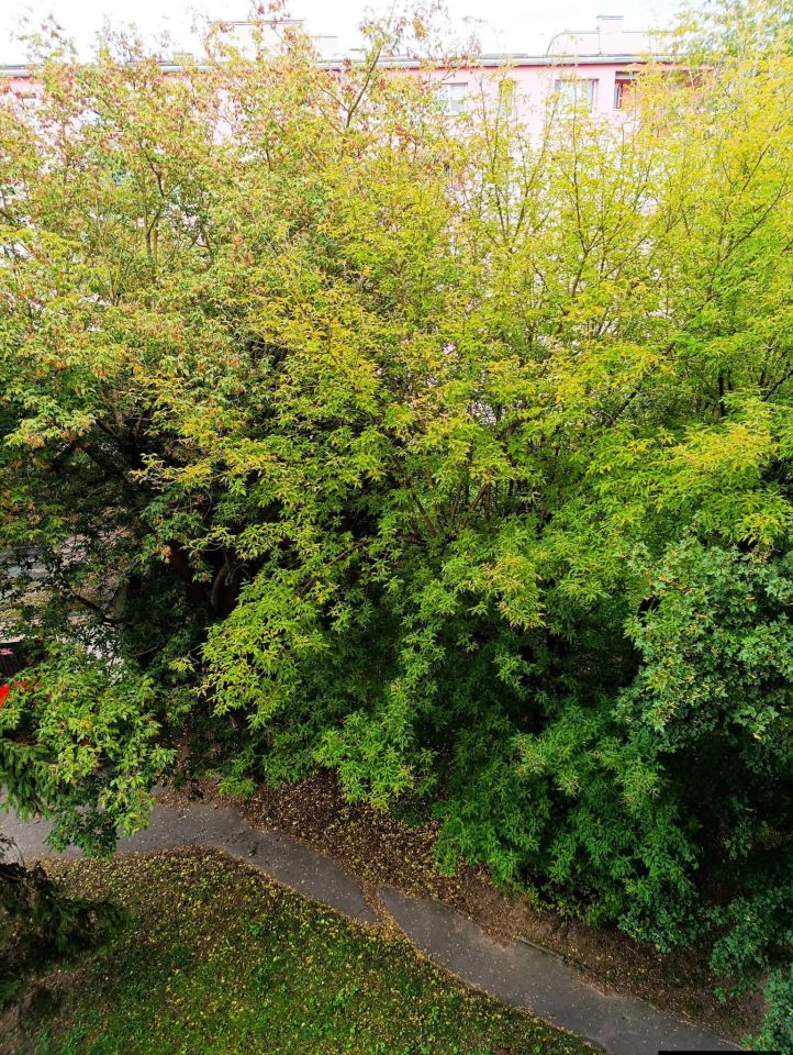 Mieszkanie 3-pokojowe Kłodzko Centrum, ul. Janusza Kusocińskiego. Zdjęcie 10