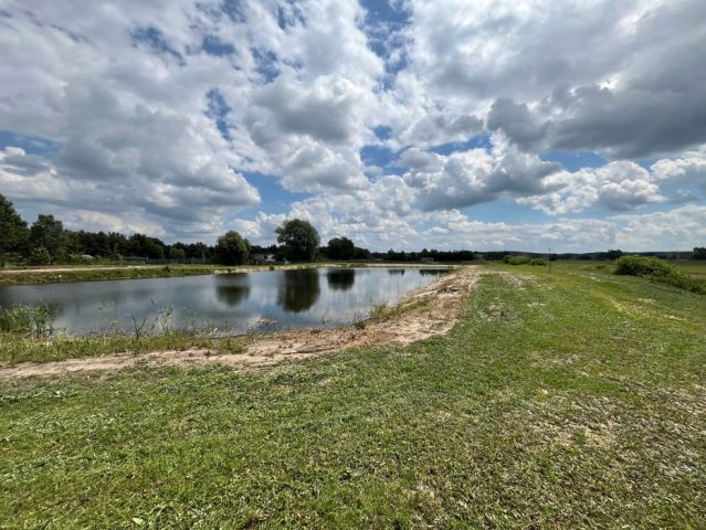 Działka rolna Olszanica. Zdjęcie 1