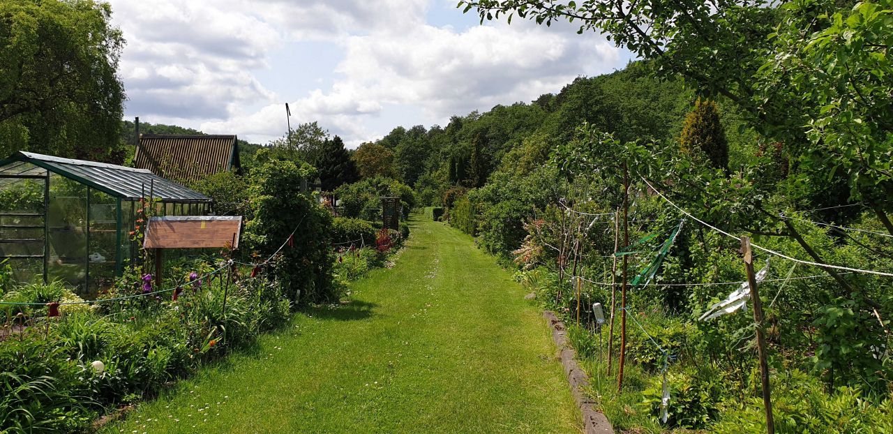 Działka rod Gdańsk Oliwa, ul. Bytowska. Zdjęcie 4