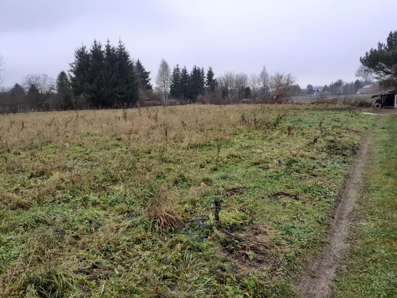 Działka rekreacyjna Strzyżów, ul. Ogrodowa. Zdjęcie 3