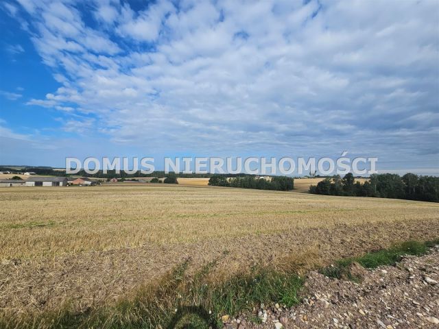 Działka budowlana Jasień. Zdjęcie 6