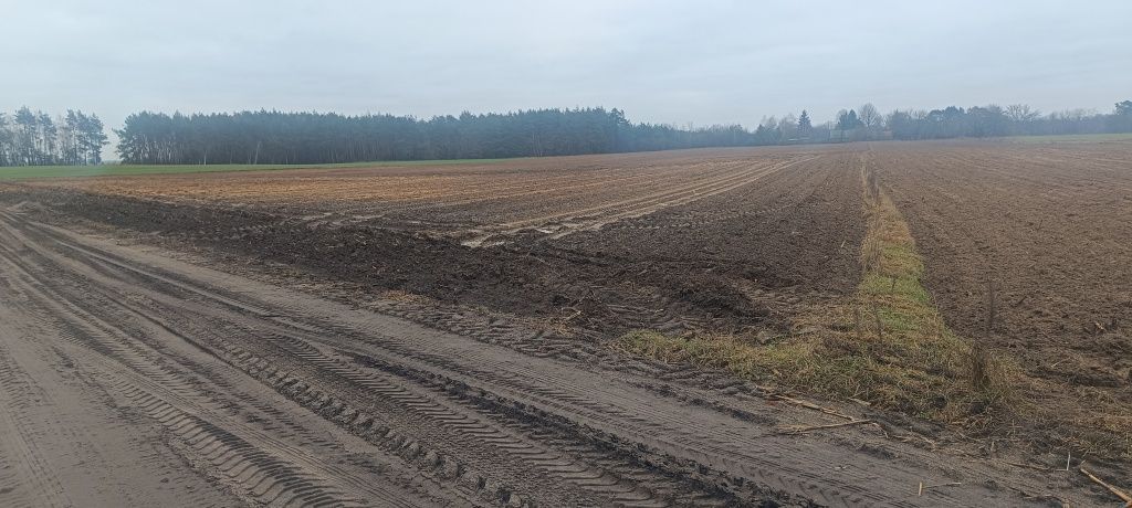 Działka rolno-budowlana Ratowo-Piotrowo. Zdjęcie 3