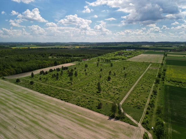 Działka budowlana Wszemirów. Zdjęcie 1