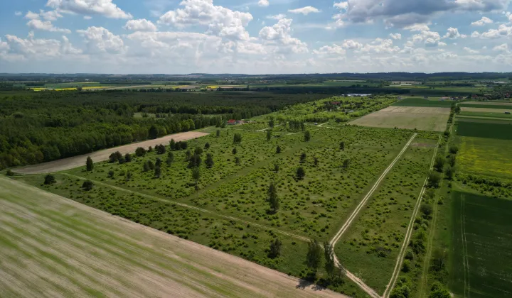Działka budowlana Wszemirów