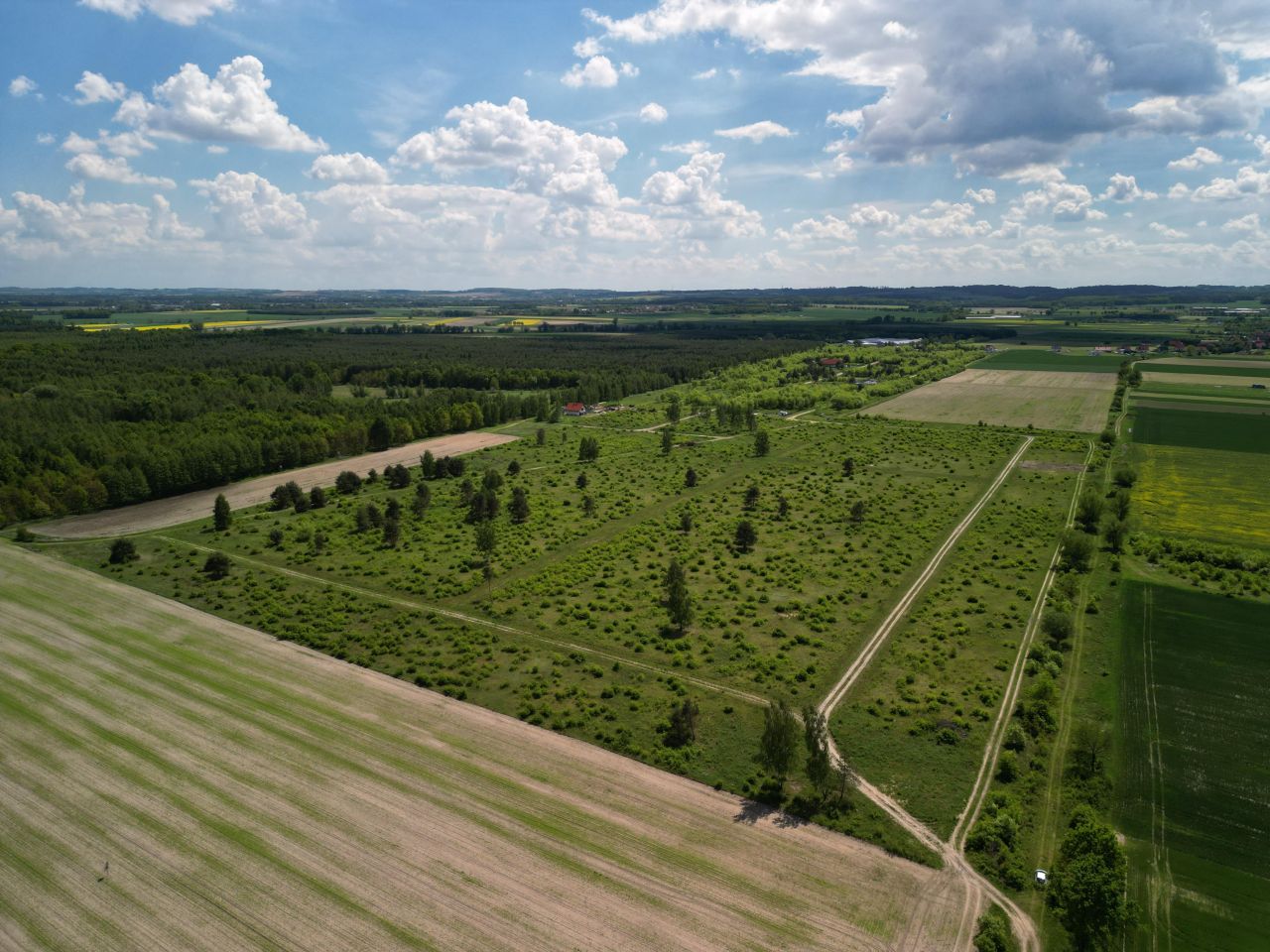Działka budowlana Wszemirów. Zdjęcie 1