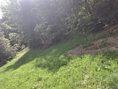 Działka rolna Poręba Wielka. Zdjęcie 1