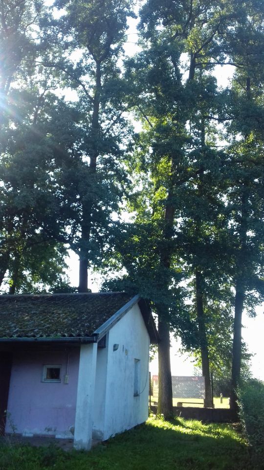 dom letniskowy, 2 pokoje Morzyczyn, ul. Szczecińska. Zdjęcie 3