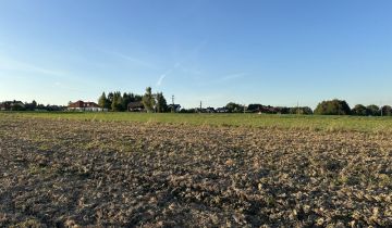 Działka budowlana Pisarzowice