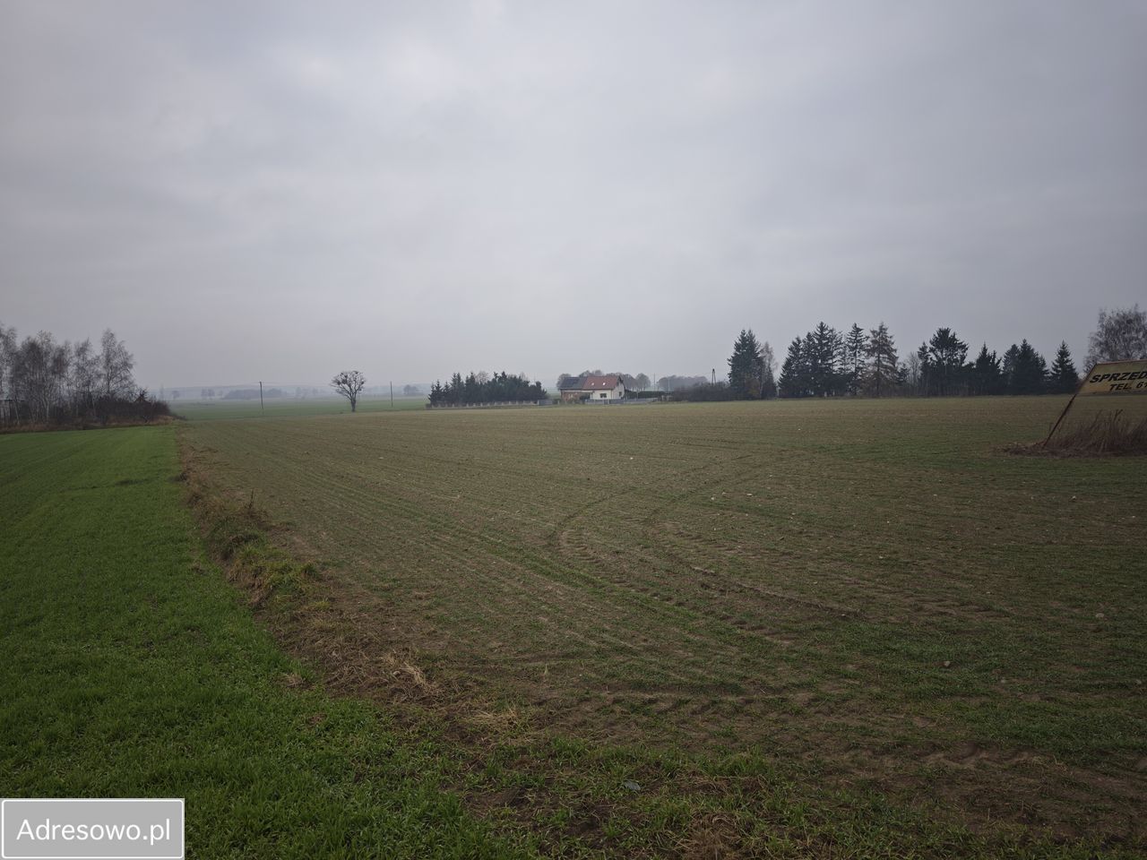 Działka inwestycyjna Grońsko. Zdjęcie 9