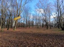 Mieszkanie 2-pokojowe Warszawa Górny Mokotów, ul. Wojciecha Żywnego. Zdjęcie 3