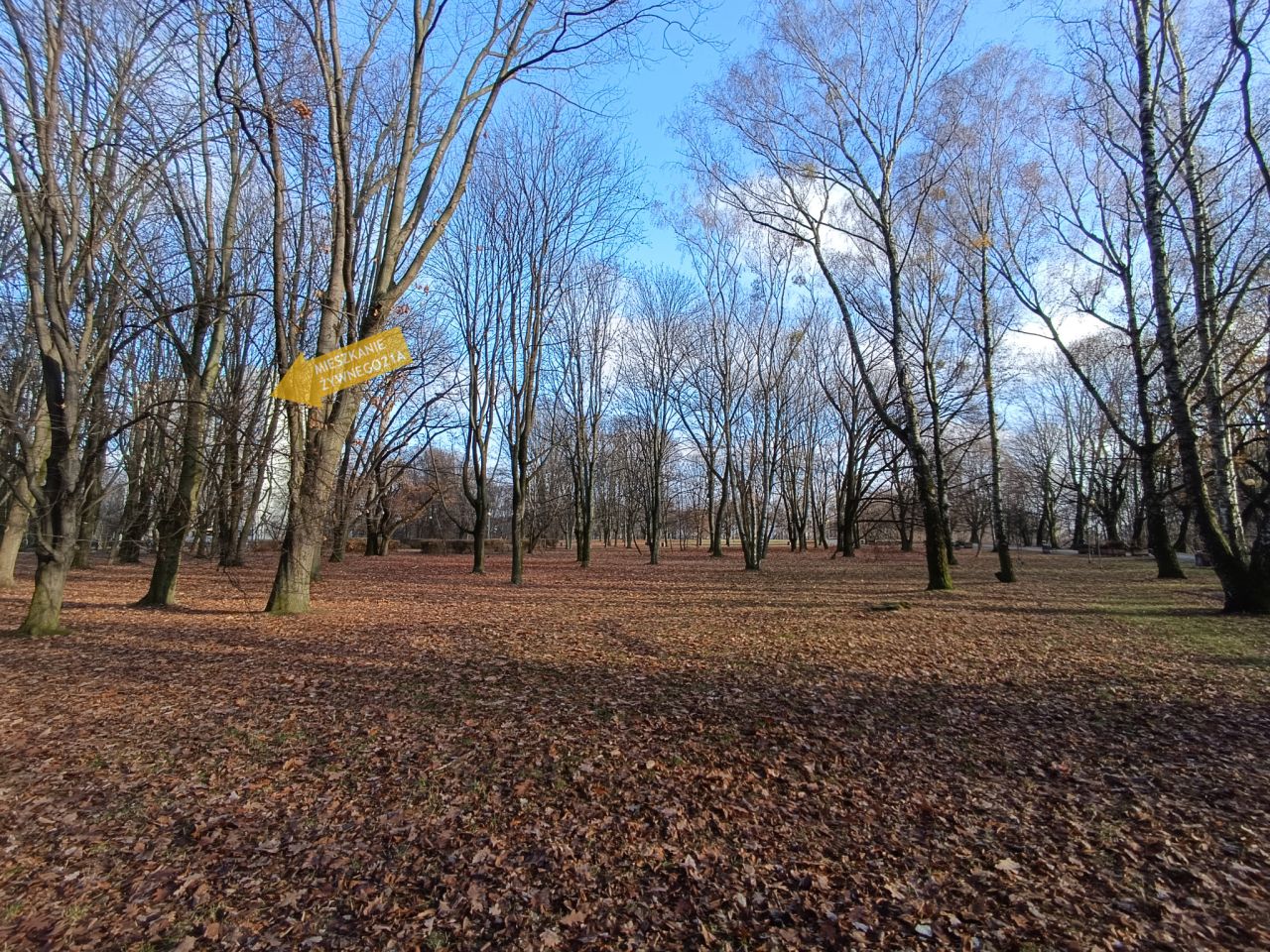Mieszkanie 2-pokojowe Warszawa Górny Mokotów, ul. Wojciecha Żywnego. Zdjęcie 4