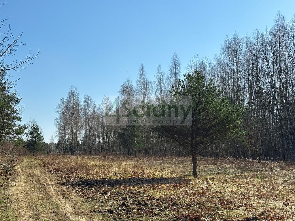 Działka budowlana Ojrzanów. Zdjęcie 7