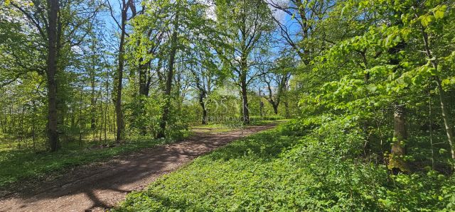 Działka Żerzyno. Zdjęcie 8