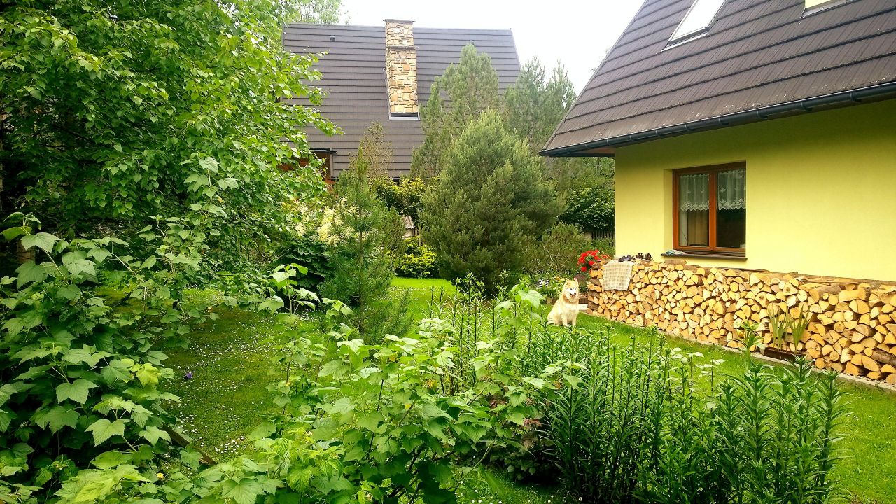 dom wolnostojący, 4 pokoje Zakopane Krzeptówki-Potok