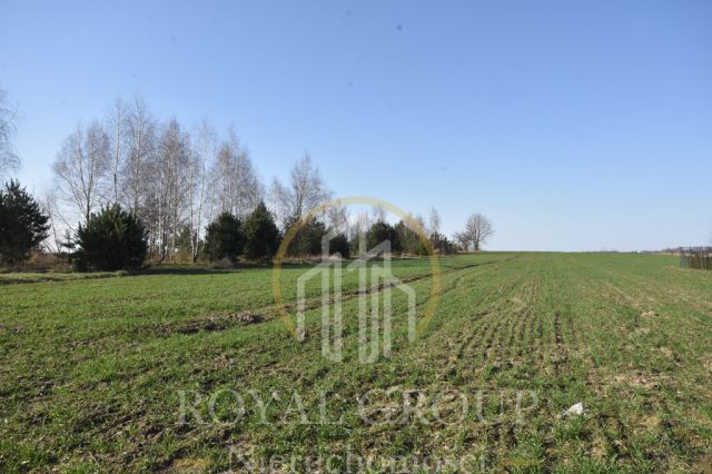 Działka Kunów. Zdjęcie 4